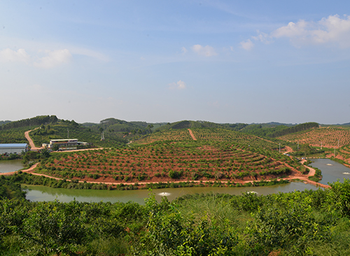 基地環(huán)境