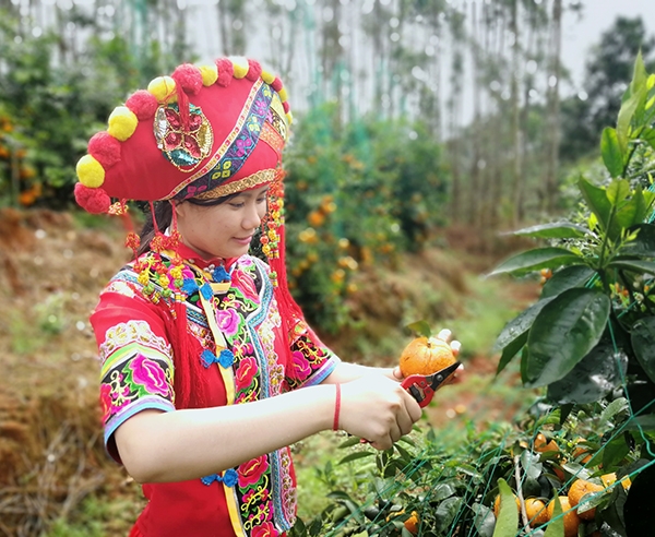 休閑農(nóng)業(yè)2