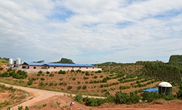 公司探索構(gòu)建基地豬沼果生態(tài)循環(huán)體系
