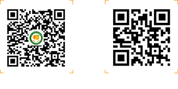 沃柑價(jià)格_武鳴沃柑_廣西沃柑