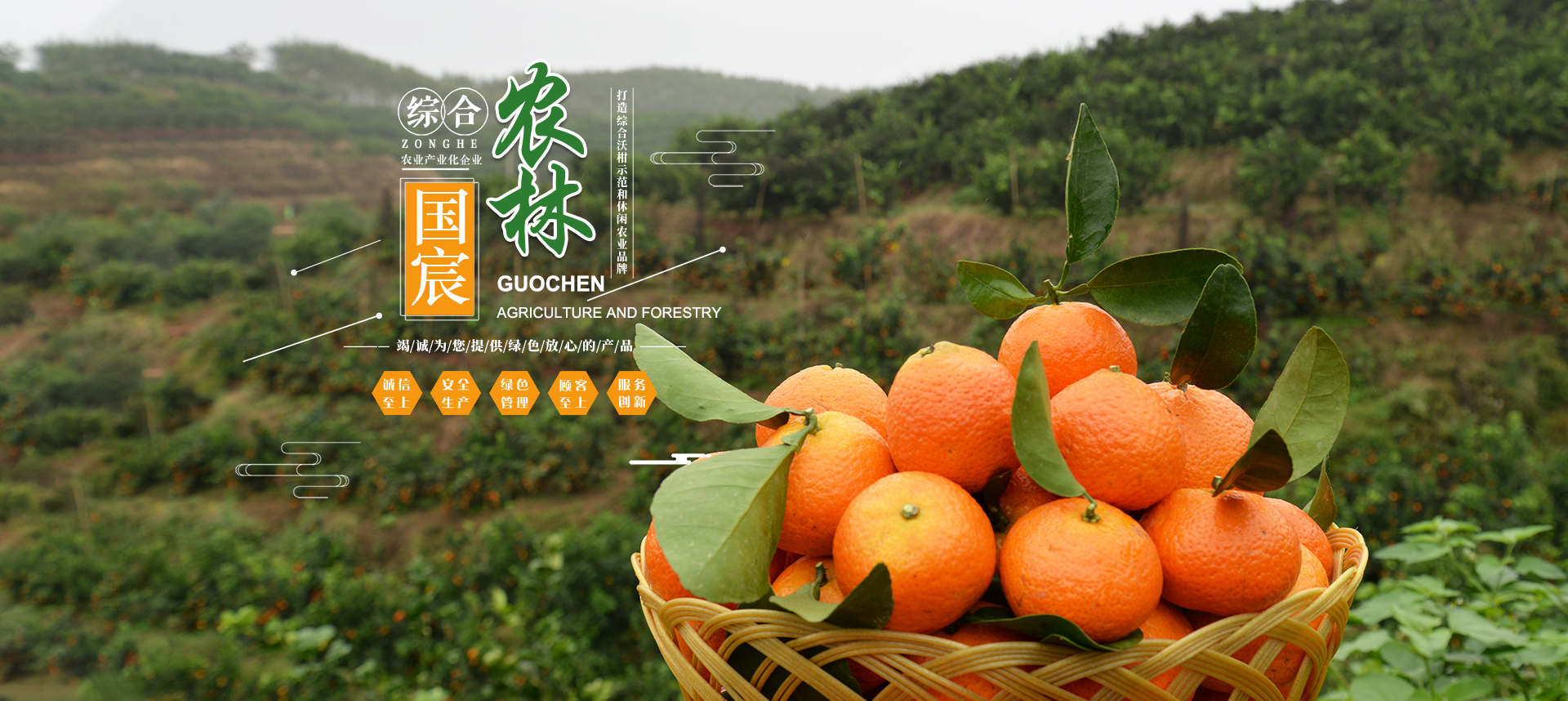 沃柑價(jià)格